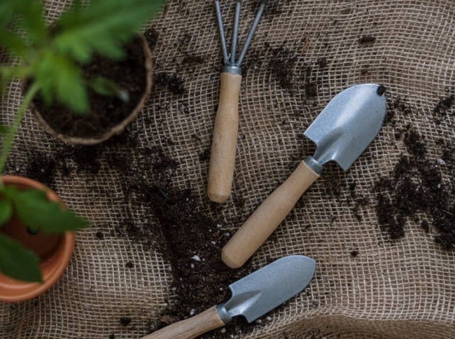 gardening-tools.jpg